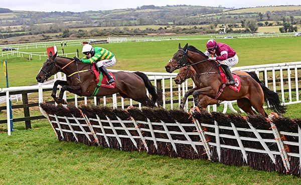 Thedevilscoachman and Mark Walsh lead them home in race two at Punchestown