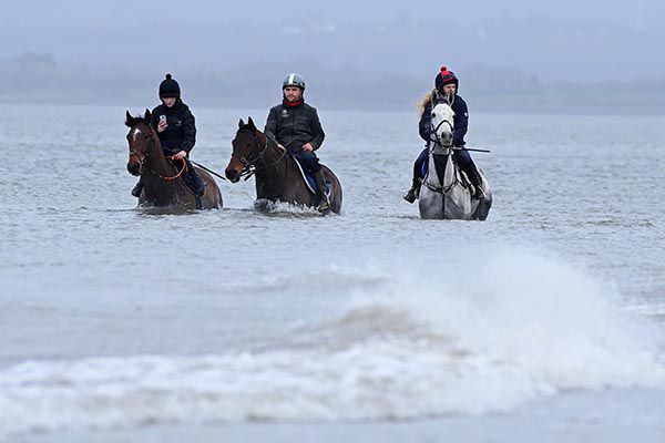 Imperial Rebel, Damut and Monday's winner Doldido exercising at Beale Strand