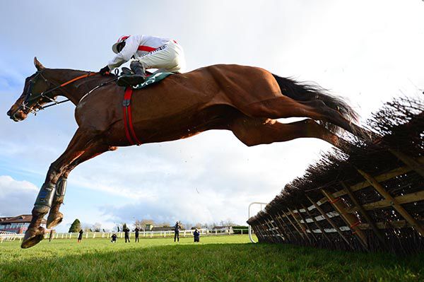 Alko Rouge and Darragh O'Keeffe