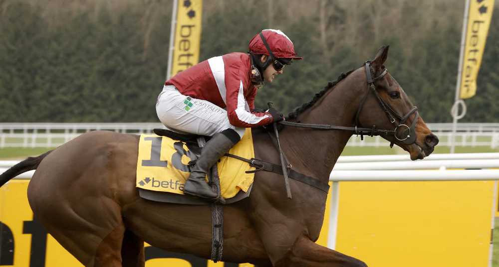 Soaring Glory and Jonjo O'Neill junior