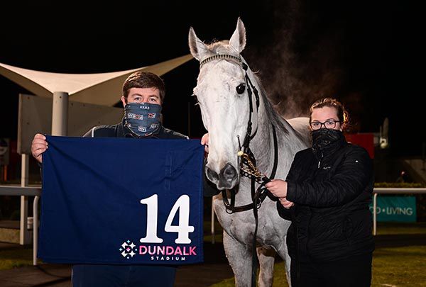 Anthony and Michaela McCann with Togoville after the great grey took his Dundalk score to 14 wins