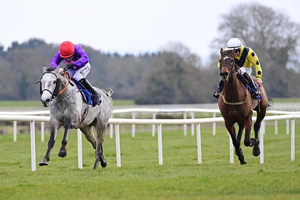 Grey mare Ciao Bella forges on in Fairyhouse
