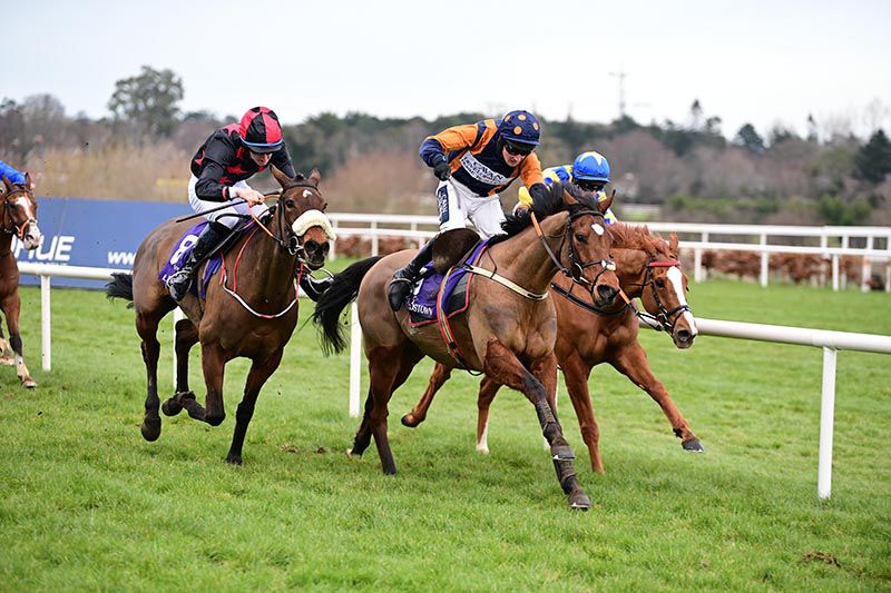 Fox Fearless and Barry Browne (centre) win from Lunastar (noseband) and Ballycaines