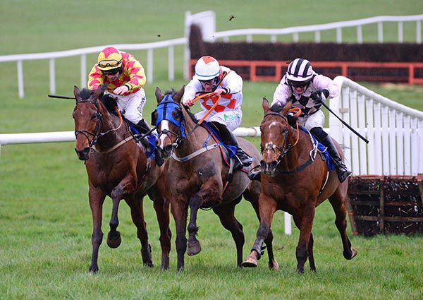 Hilltop Supreme, left, comes home strongest