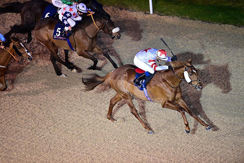 Grandmaster Flash and Dylan Browne McMonagle (right) win from The Mouse Doctor (noseband)