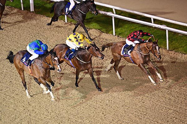 Pride Of Pimlico and Rory Cleary (far side) beat Sense Of Worth (nearest) and Miracles In May