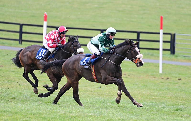 Ballywilliam Boy and Mark McDonogh (right) get the better of Limetime Ambition