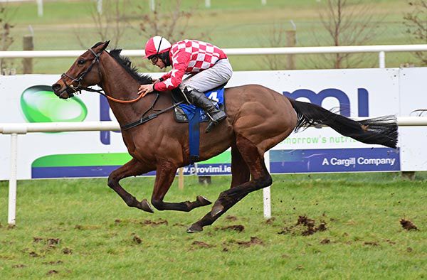 Flame Bearer is fancied in the maiden hurdle at Naas
