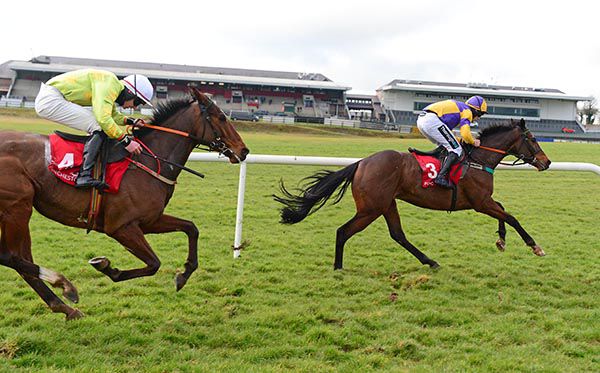 Last Quarter winning by a length and a half