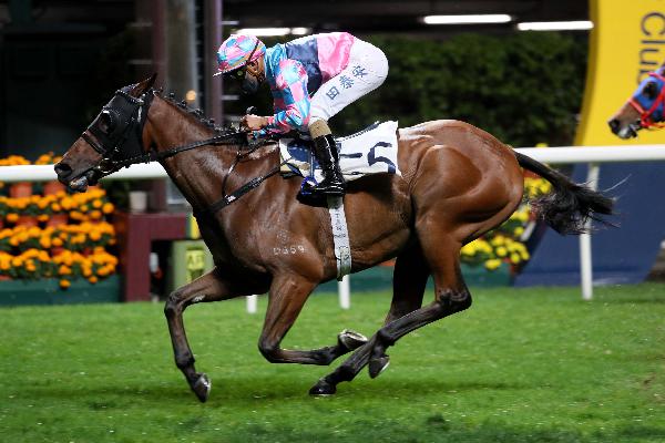 Gallant Crown notches a hat-trick of wins.