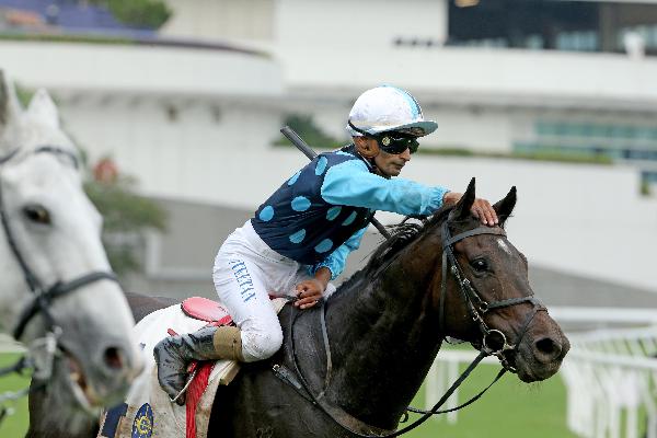 Will Power is one of Hong Kong&rsquo;s best performing dirt horses.