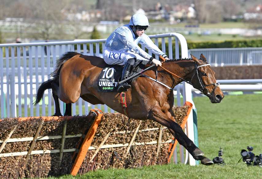 Honeysuckle and Rachael Blackmore