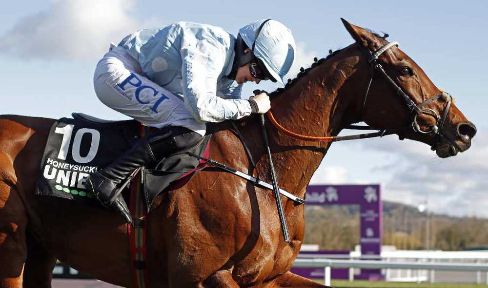 Honeysuckle and Rachael Blackmore