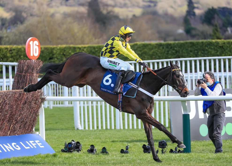 Shishkin (Nico de Boinville) in full flight at Cheltenham
