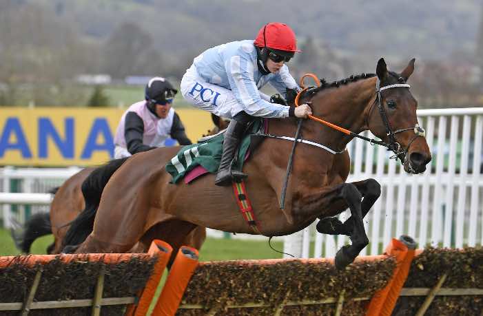 Telmesomethinggirl and Rachael Blackmore in winning action at Cheltenham last year