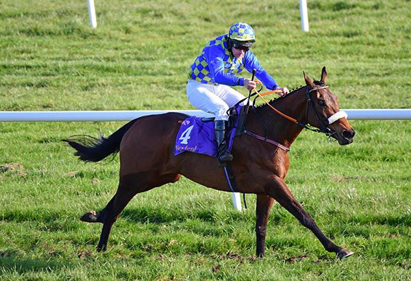 Crossgales Ophelia and Benny Walsh