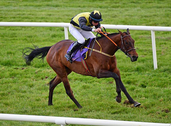 High Stakes and James Walsh pictured on their way to victory