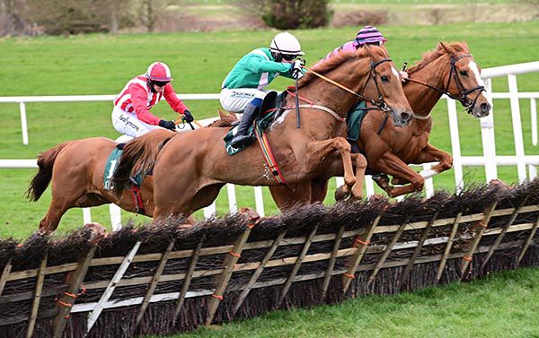 Ahead Of The Field (nearside) on the way to victory under Jordan Gainford