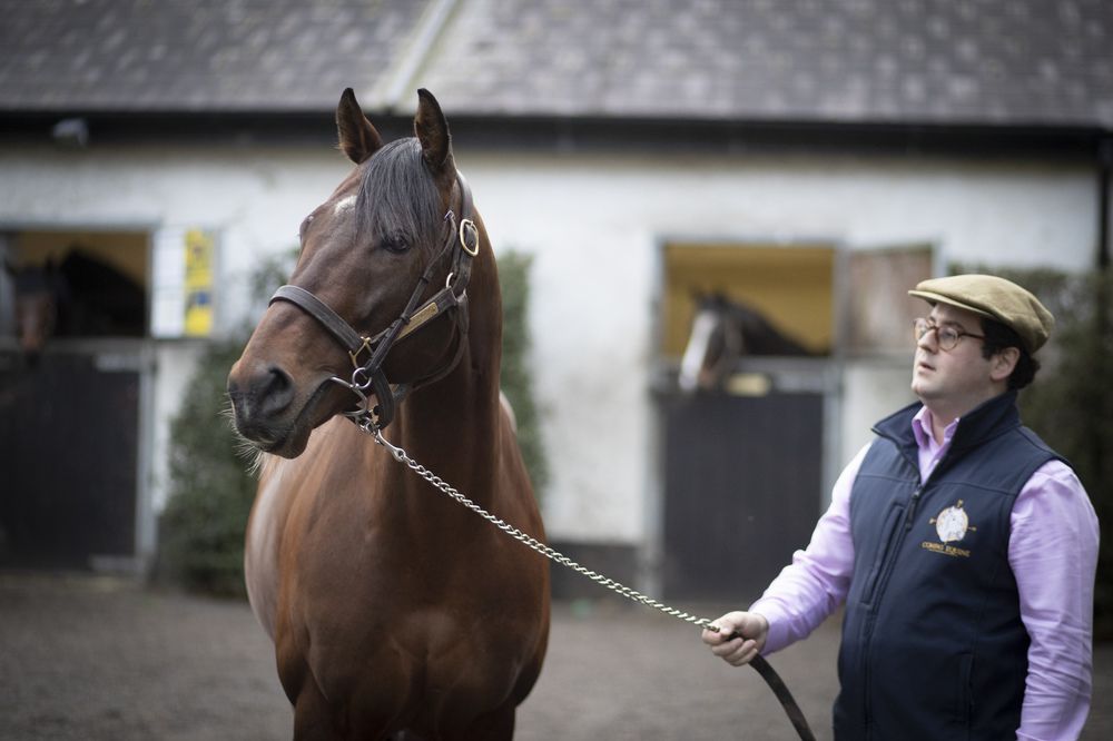 Micheál Orlandi of Compas Stallions with Smooth Daddy Pic: Patrick McCann/RacingPost