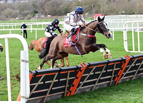 Thunderosa and Paddy O'Hanlon jump the last in front of Dromore Lad
 