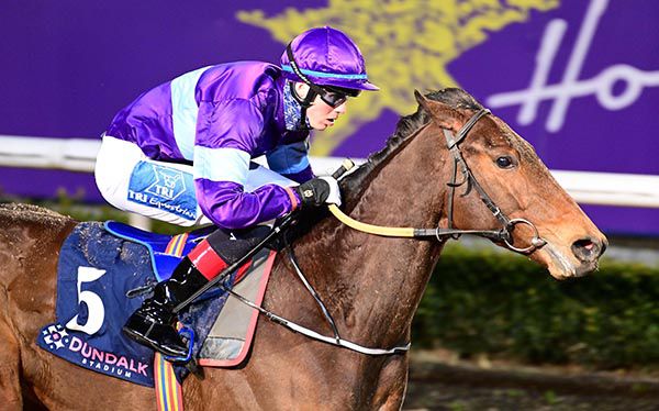 Irish Acclaim and Scott McCullagh