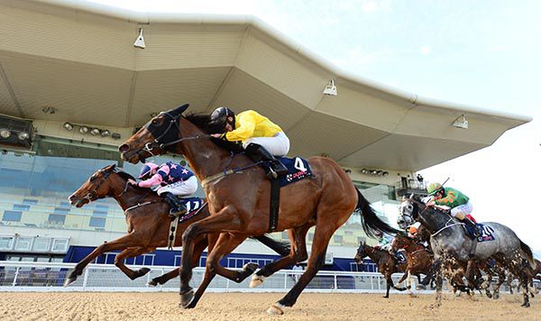Adams Barbour (far-side, Chris Hayes) just beat No Speed Limit and Wayne Lordan (near)