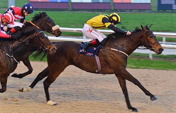 Tipperary Moon wins under Colin Keane