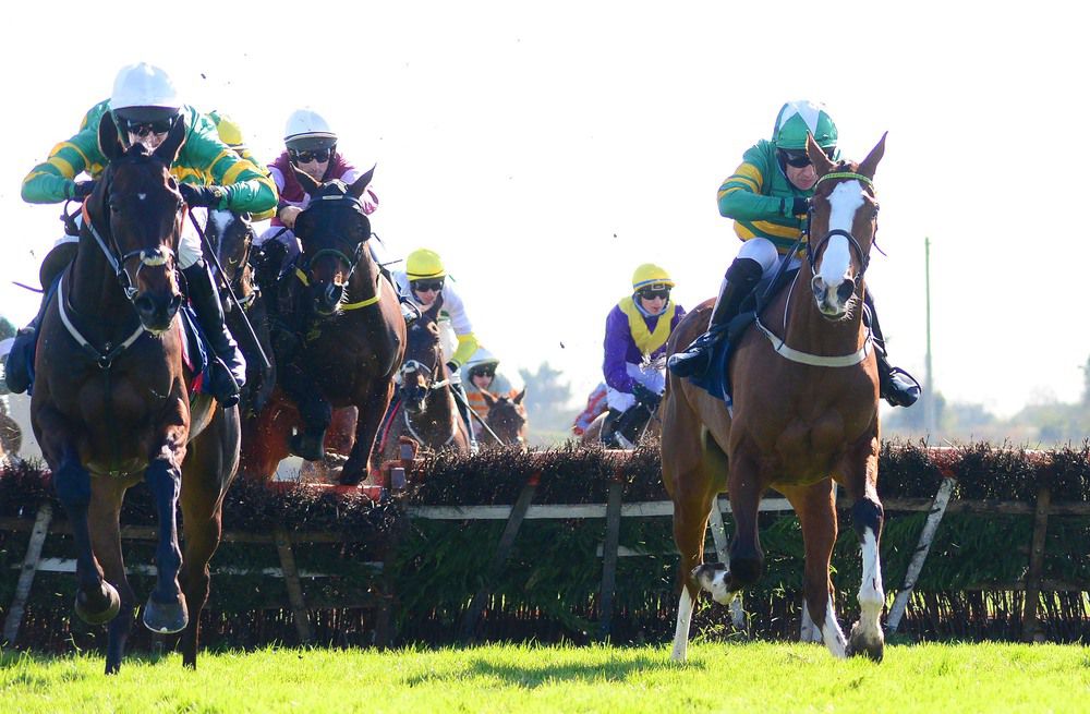 Hearts Are Trumps (Jody McGarvey, right) beats Magic Tricks (Mark Walsh)