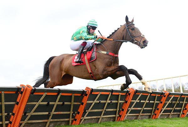 Mr Josiey Wales in good form