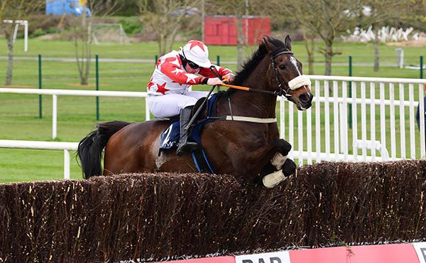 Goulane Chosen enjoying himself under Barry John Foley