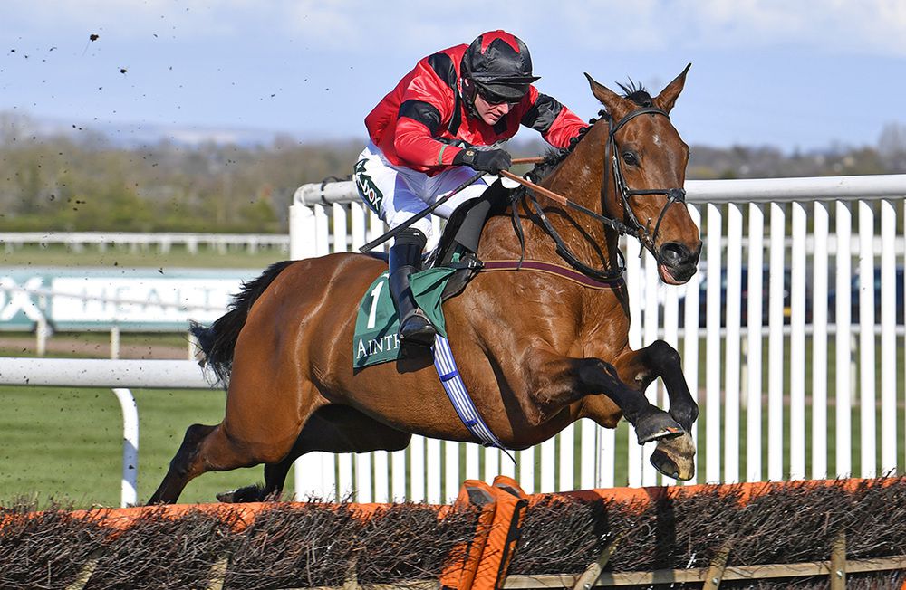 Ahoy Senor (Derek Fox) winning at Aintree last Friday