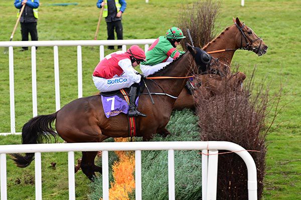 Ornua (far side), with runner-up Fine Theatre