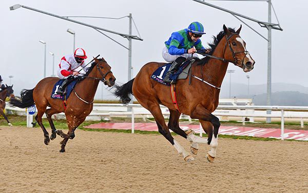 Sense Of Worth (Ronan Whelan) beats Rodney Bay (Joe Doyle)