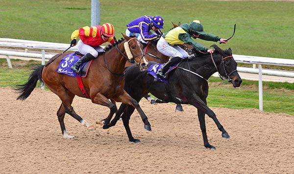 Burning Lake wins under Joey Sheridan