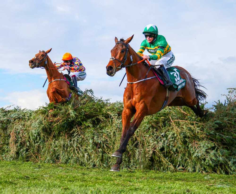 Grand National winner Minella Times has an entry in the three-mile hurdle at Clonmel on Thursday