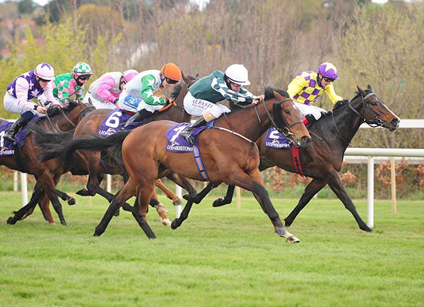 Real Appeal (white cap) winning at Leopardstown in April 