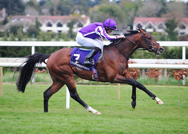 Sir Lamorak and Ryan Moore