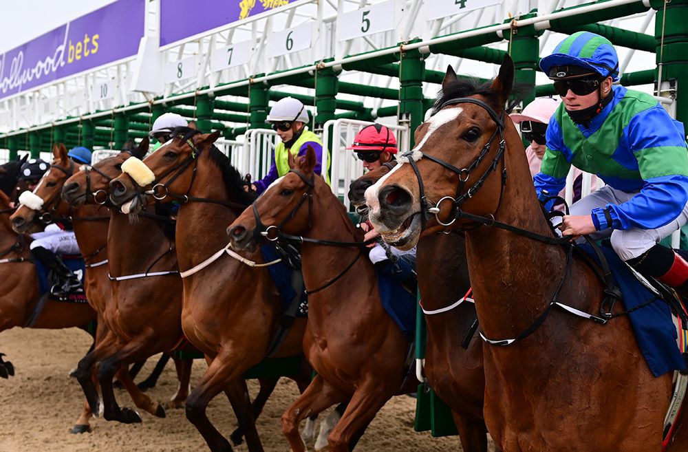 Runners break from the stalls at Dundalk