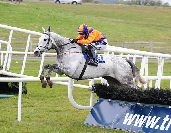 Ballyadam Destiny and Mikey Hamill