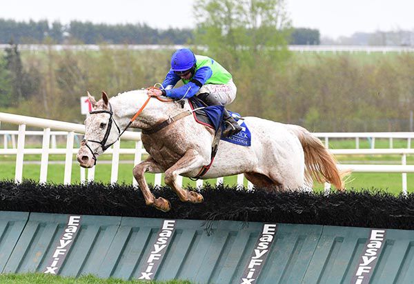 The Great White posts a wide-margin victory