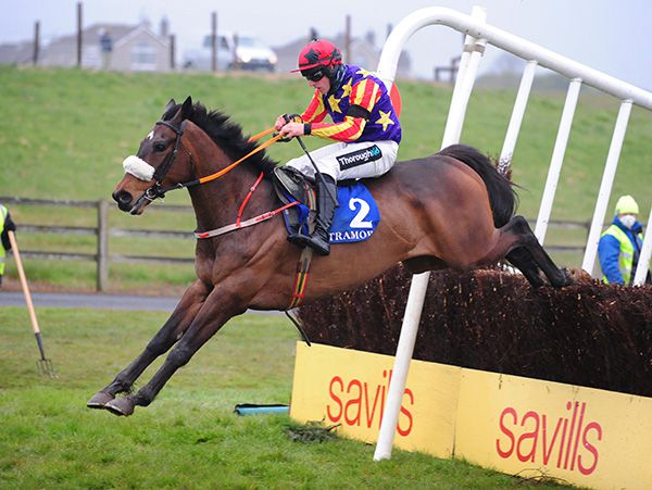 Winged Leader impresses in Tramore