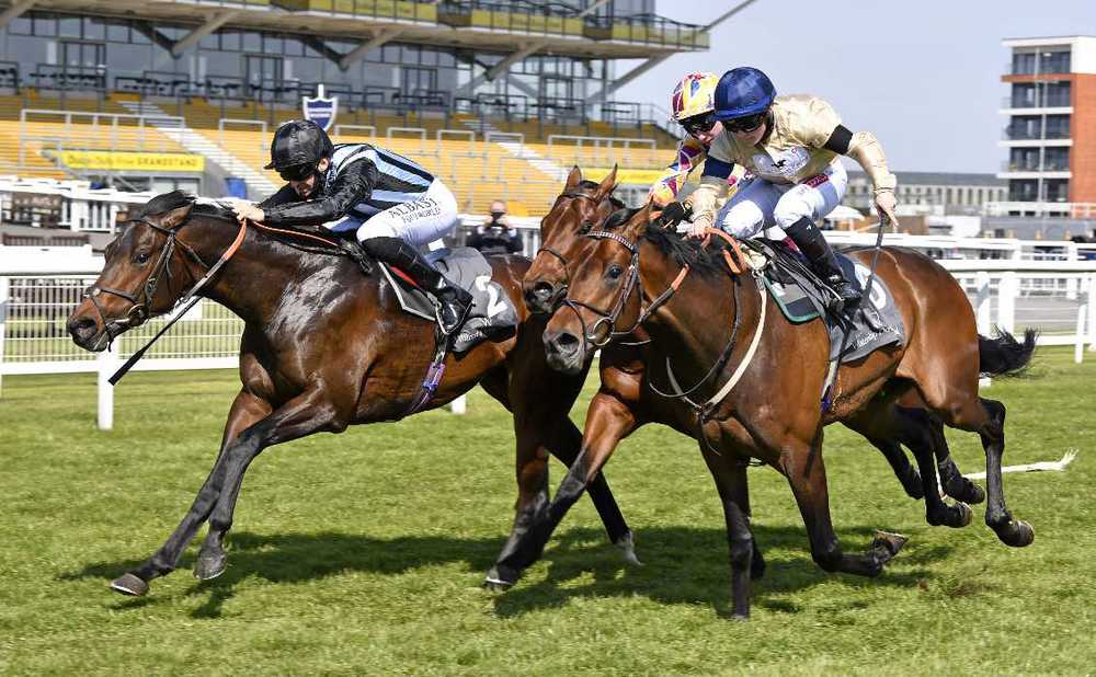 Chindit drops back down to 7f on his return to Newbury for the Hungerford Stakes. 