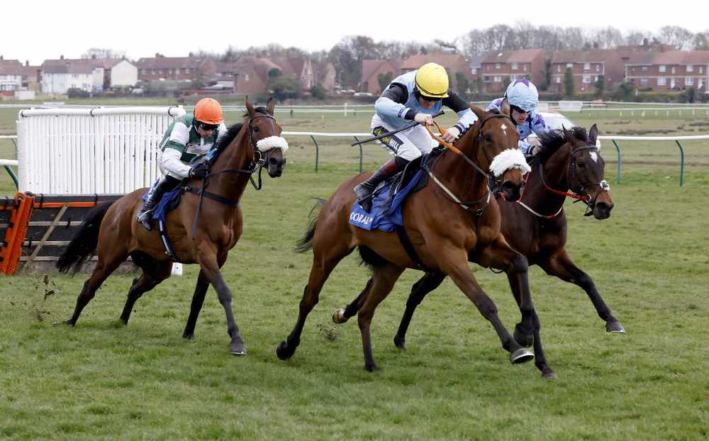 Milkwood (yellow cap) winning last year's Scottish Champion Hurdle 