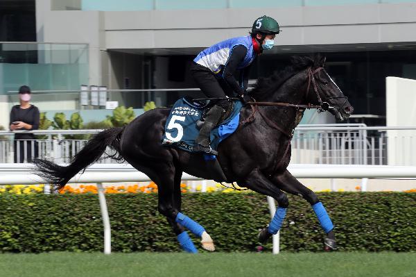 Glory Vase works at Sha Tin.