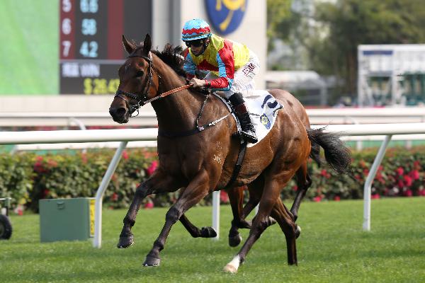 Wellington is a three-time winner from five starts this season.