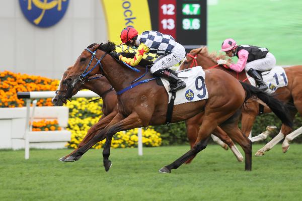Amazing Star wins the G2 Sprint Cup under Vagner Borges.