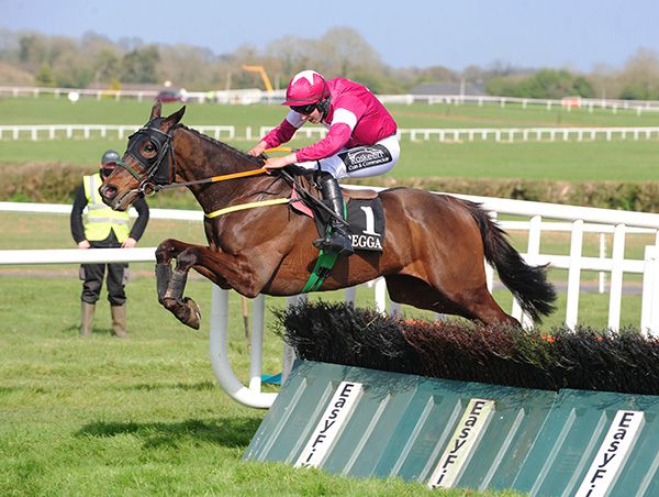 Lignou and Eoin Walsh jump the last