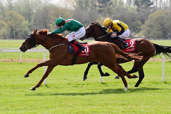 Kailash (Colin Keane) gets the better of Star Official