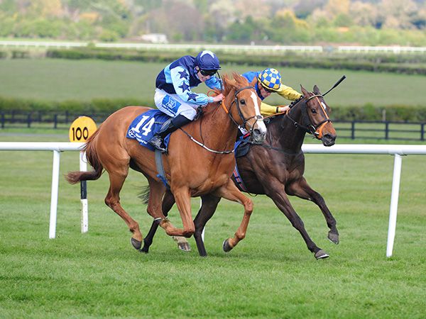 The dead-heaters Hidden Spark (Cian MacRedmond) and Blue Raven (Billy Lee, rails)