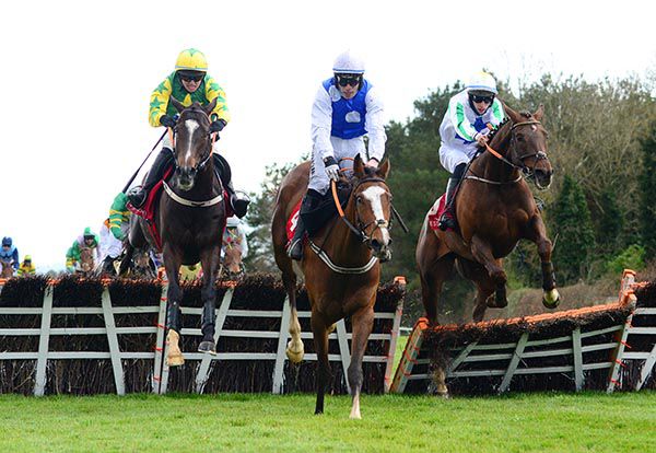 Cousin Harry (right) chases Light Brigade (centre) over the last